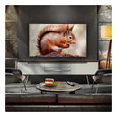 LG OLED55B56LA 55" OLED AI 4K Ultra HD HDR Smart TV*contact store for price*