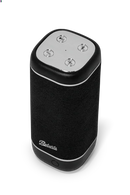 Roberts Reunion Portable Bluetooth Speaker - Black