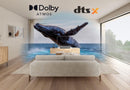Sony HTS2000 3.1 Ch All-In-One Bluetooth Sound Bar With Dolby Atmos
