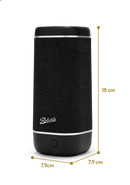 Roberts Reunion Portable Bluetooth Speaker - Black