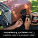 Ninja OO101UK Woodfire electric outdoor oven, Artisan Pizza maker and BBQ Smoker