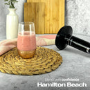Hamilton Beach HB5023-GS 4-in-1 Hand Blender