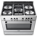 De'Longhi DSR916-GS 90cm Gas Range Cooker - Stainless Steel [available to order]*contact store for price*